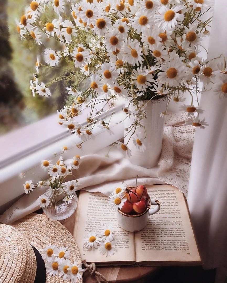 Букет ромашек в руках