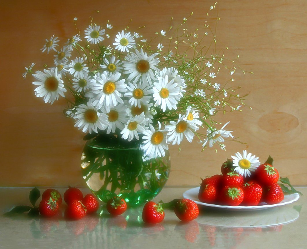 Летнее утро ромашки