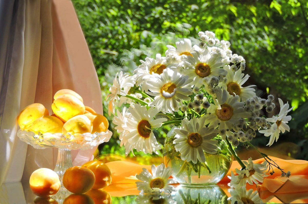 Картинки для настроения ромашки