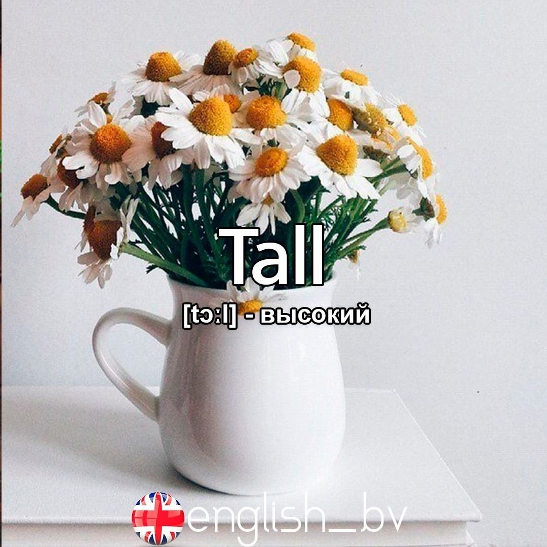 Милые ромашки