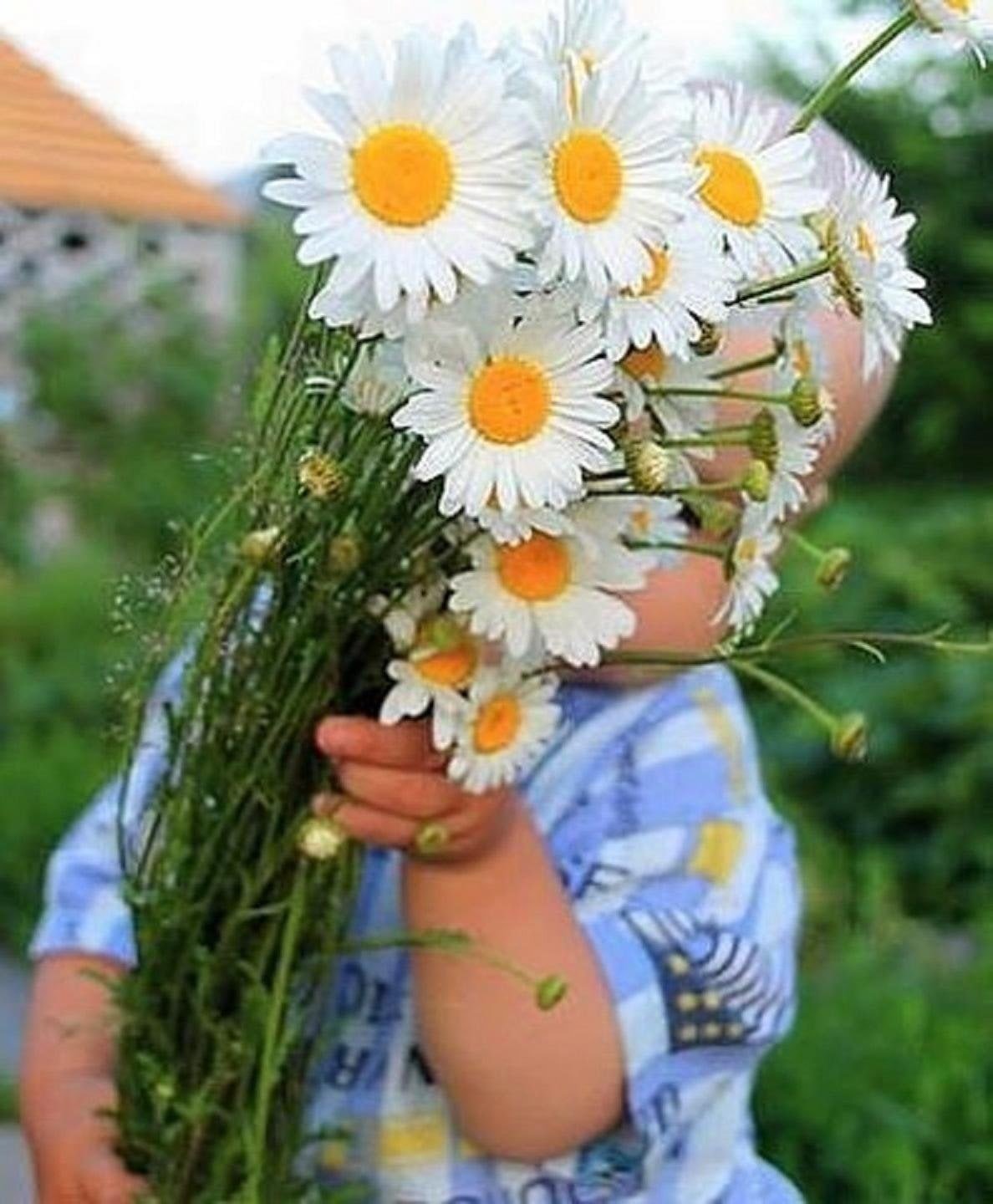 Ромашка радости