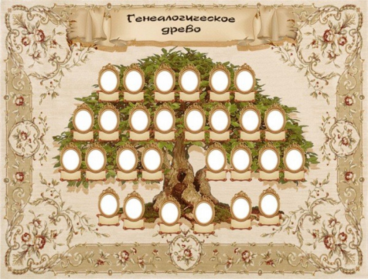 Фон для генеалогического дерева