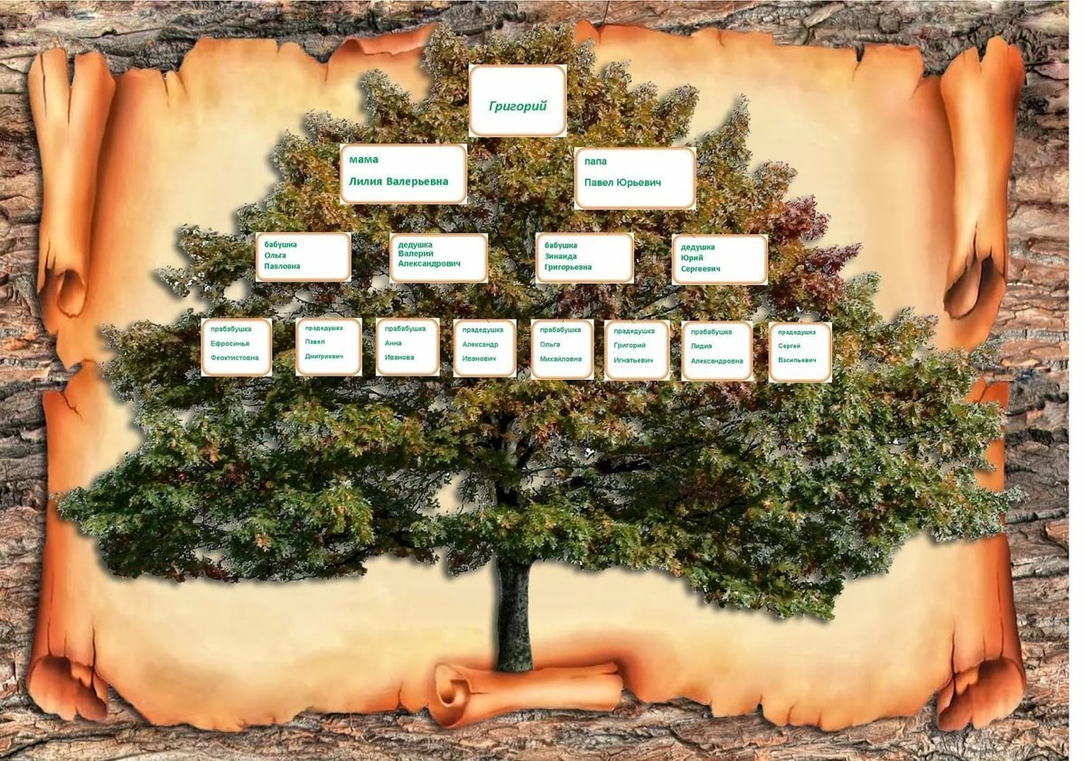 Family Tree(семейное Древо)