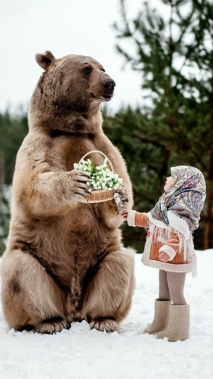 Влюбленный медведь