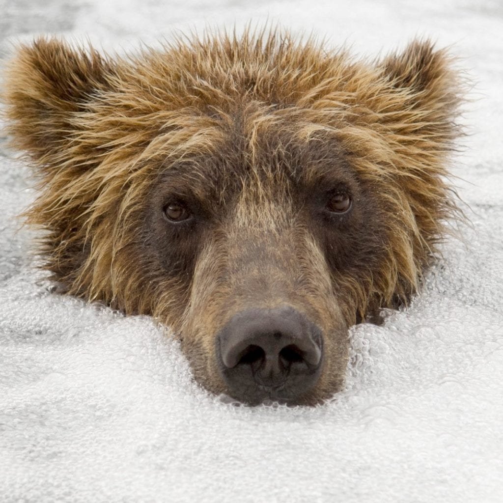 Сергей горшков фотограф