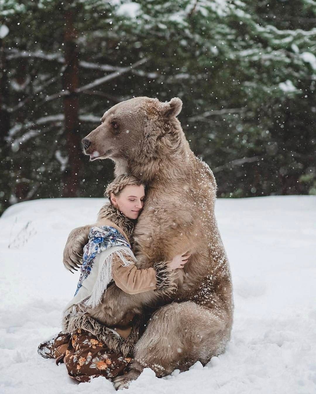 Медведь Сибирь