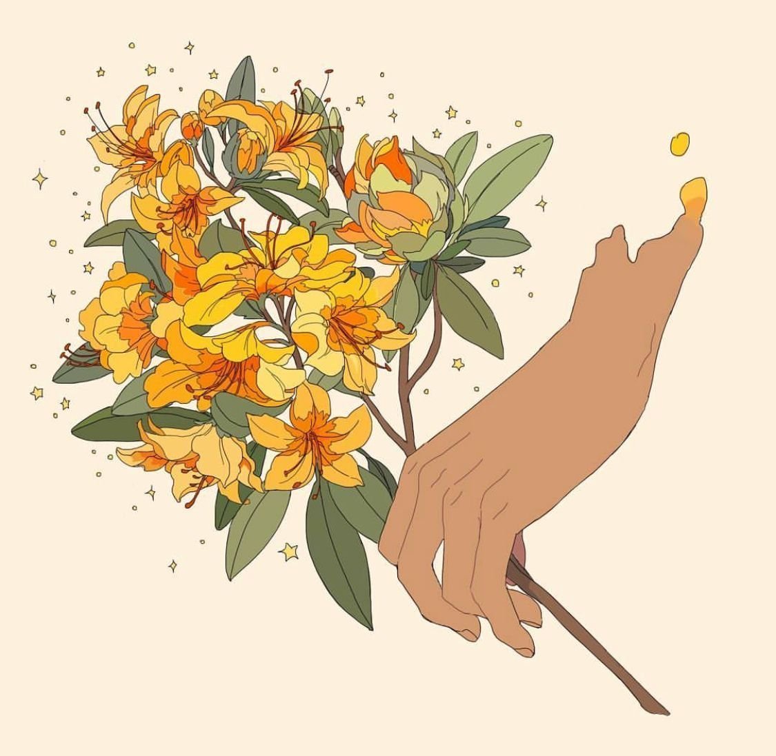 Ирис линером