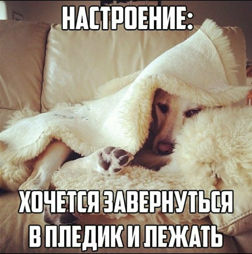 Приколы про вес