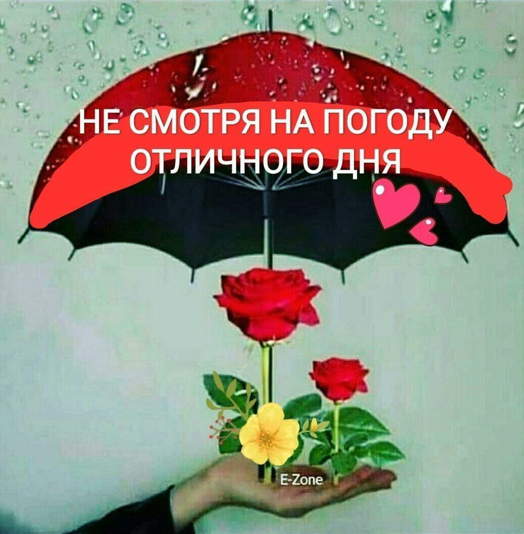 Гэндальф зачем мы пошли через Москву