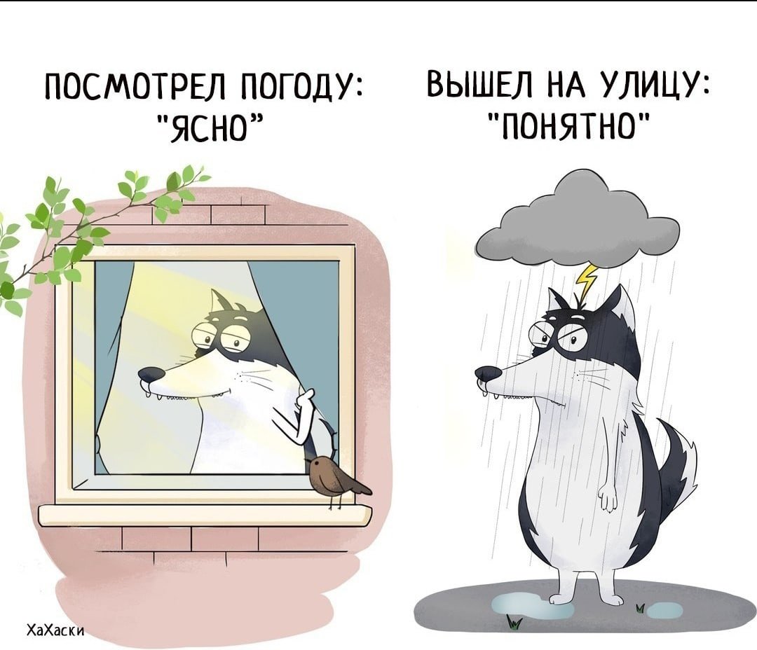 В такую погоду хорошо дома