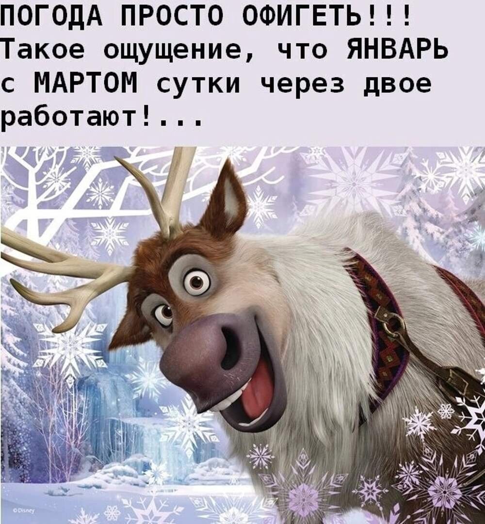 Олень из холодного сердца смешной