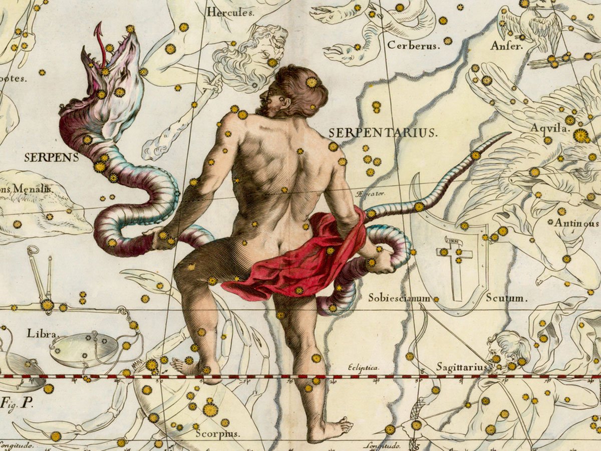 Змееносец Ян гевелий