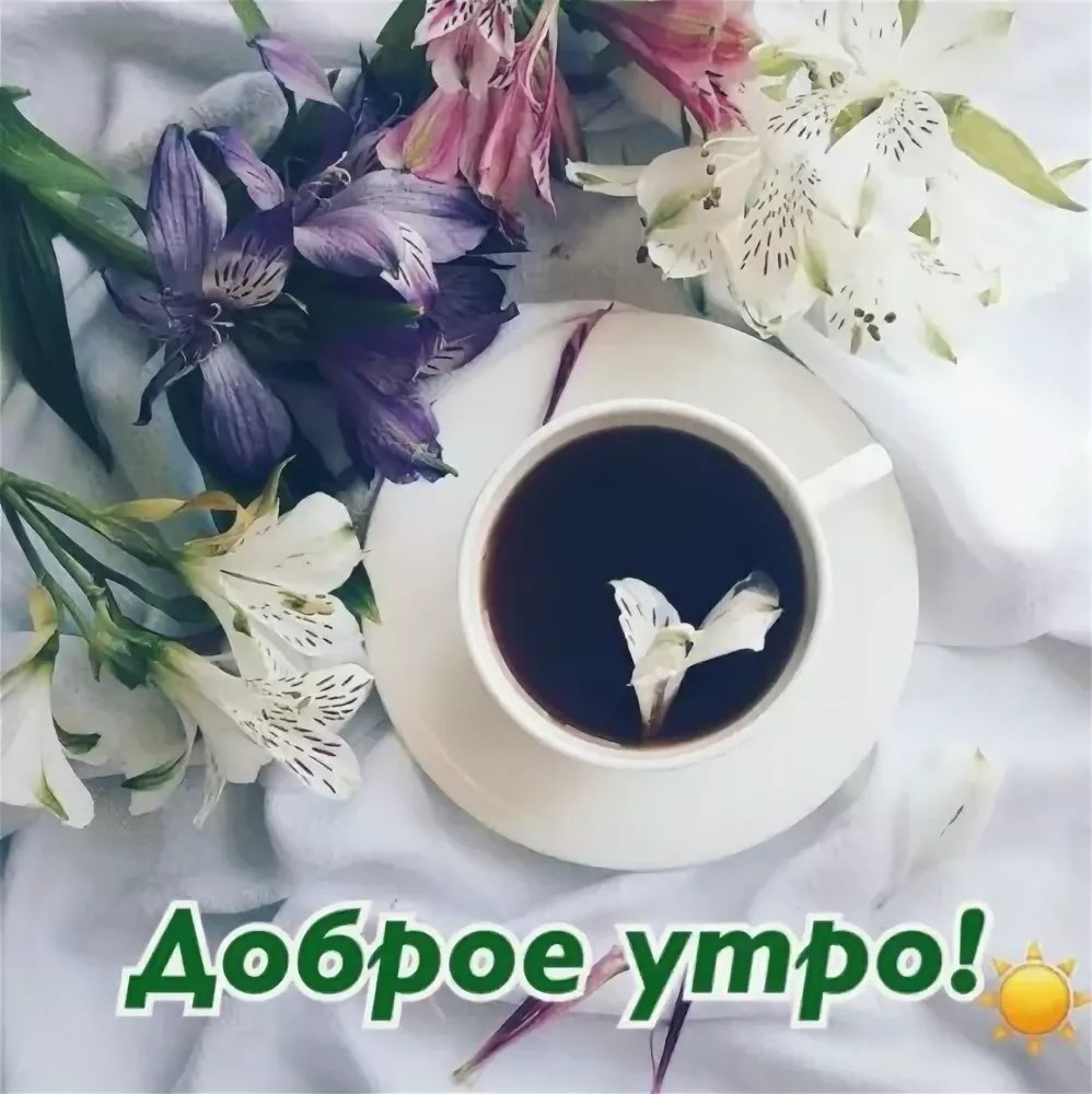 Доброе утро всем