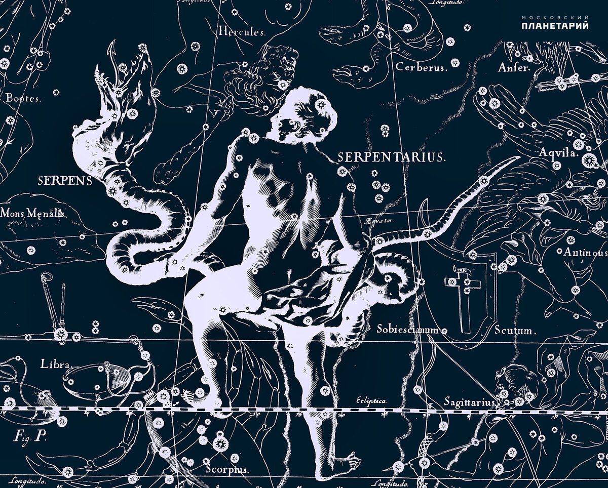 Змееносец картинки