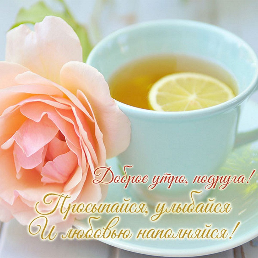 Доброе утро родня приколы