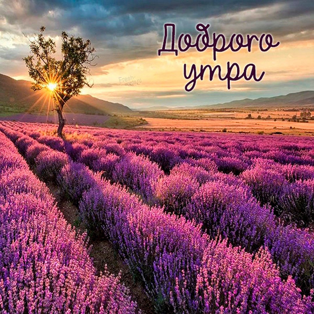 Доброе утро друзья