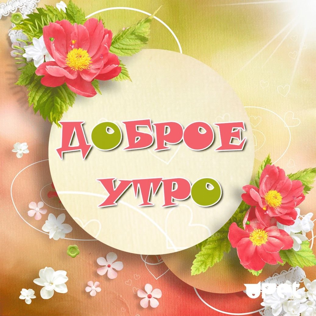 Открыта с добрым утром