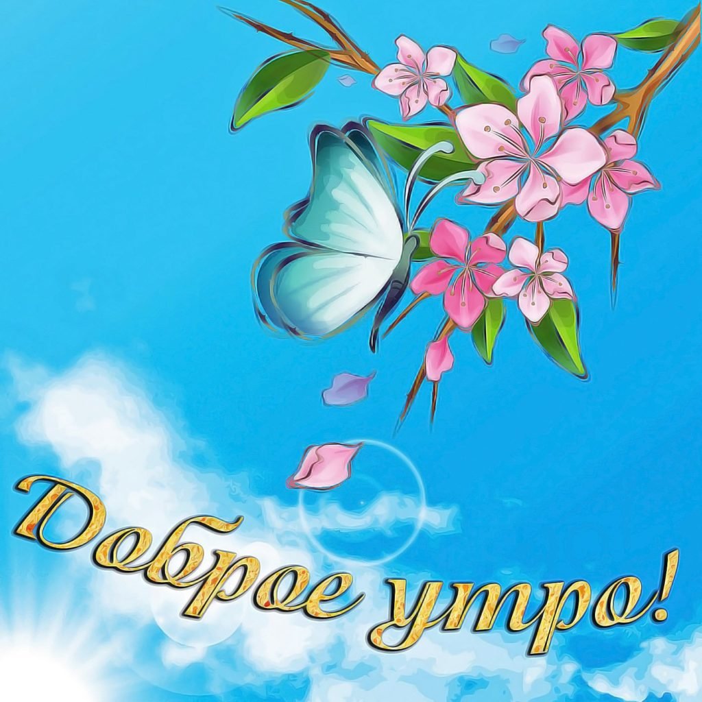 Открытки с добрым утром