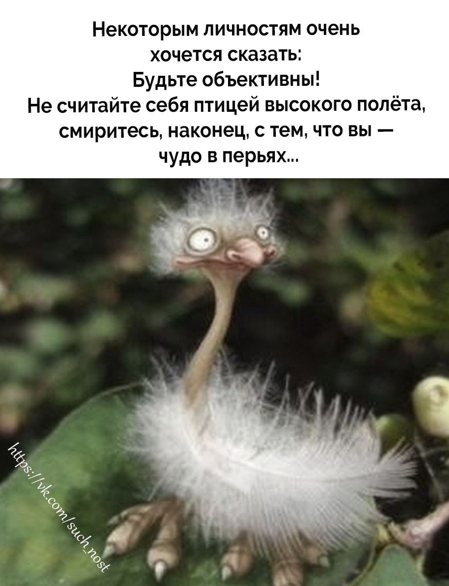 Чудо в перьях фотосессия