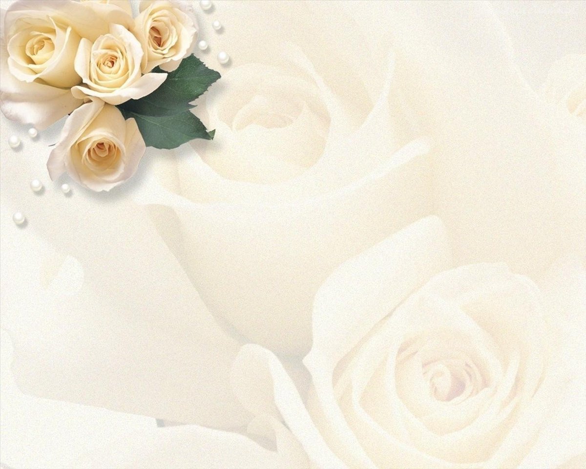 Свадебные голуби с кольцами