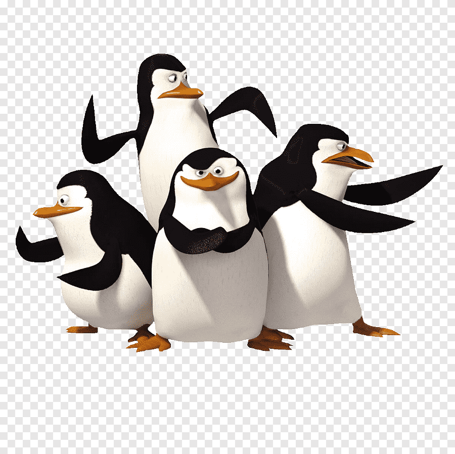 Телеграмм Мадагаскар пингвины