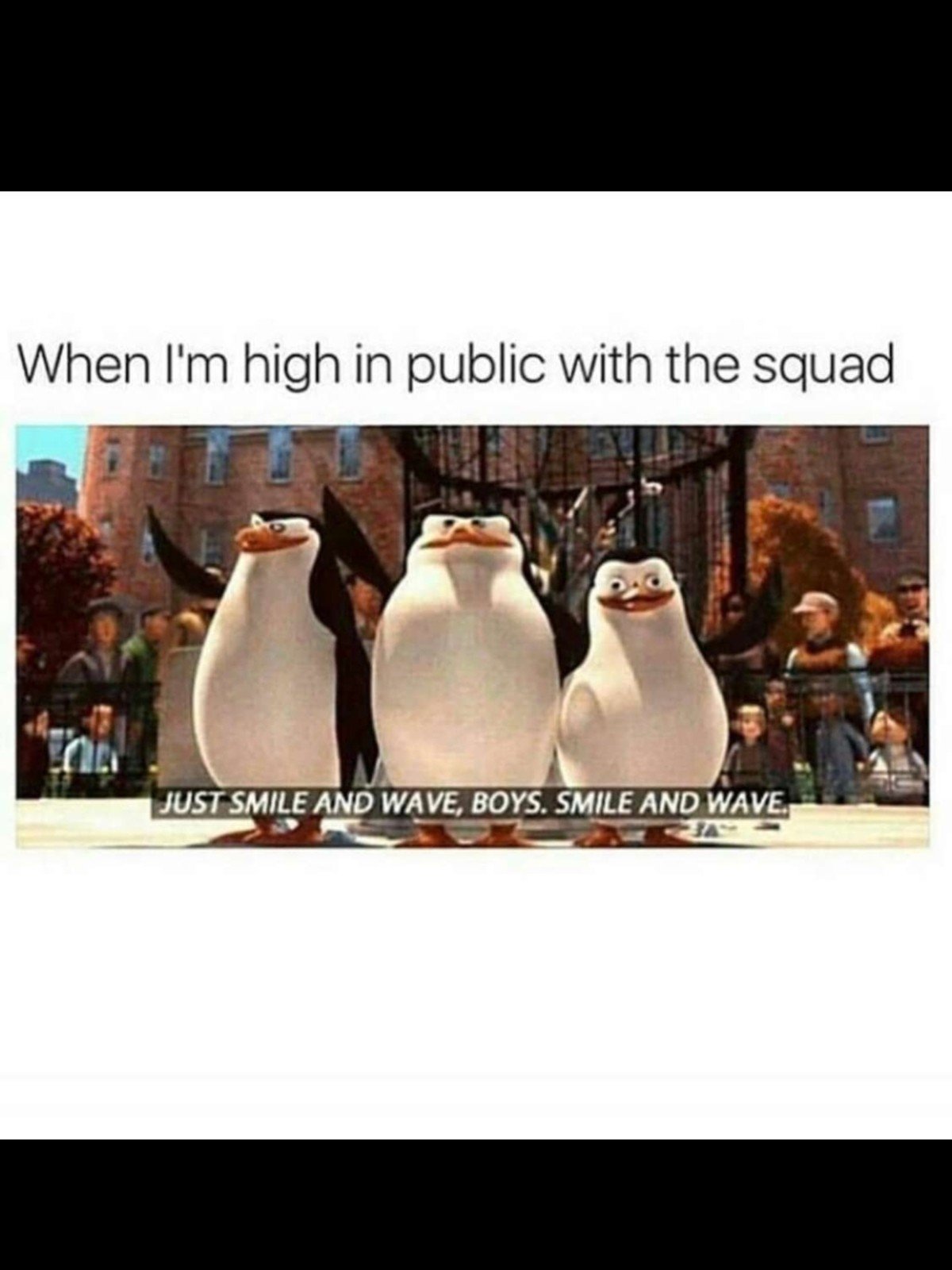 Шкипер Ковальский Рико и прапор