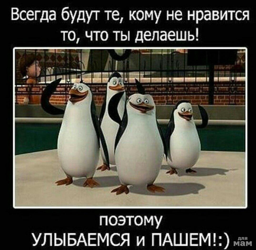 Пингвины улыбаемся и Машеи