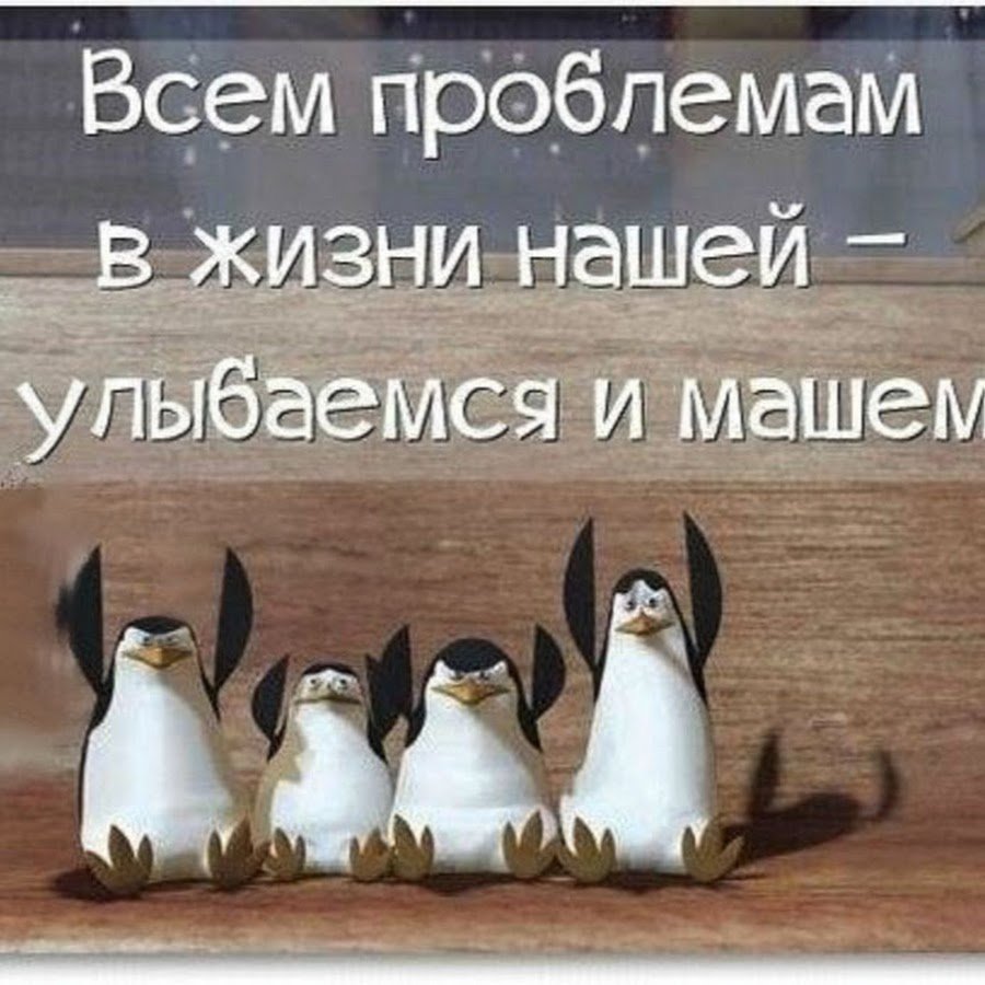 Улыбаемся и машем пингвины