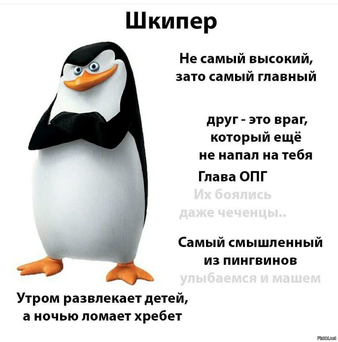 Пингвины Мадагаскара команда