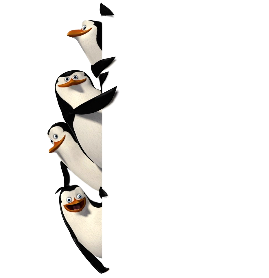 Пингвины Мадагаскара имена