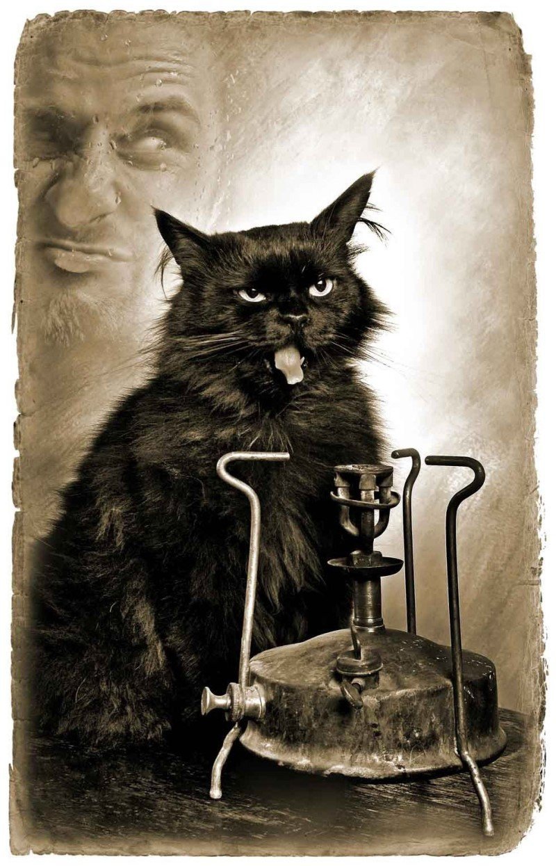 Вано Миранян кот Бегемот