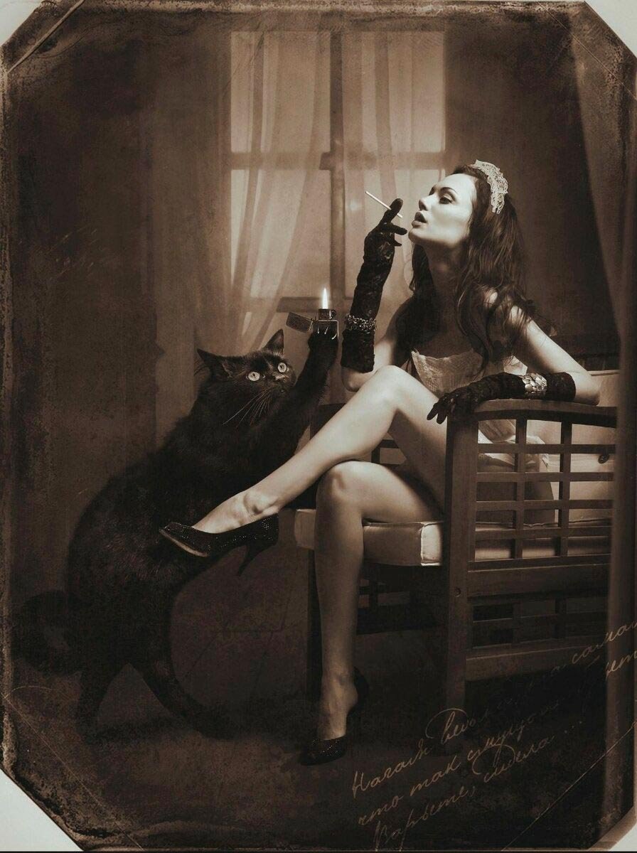 Кот Бегемот и Маргарита