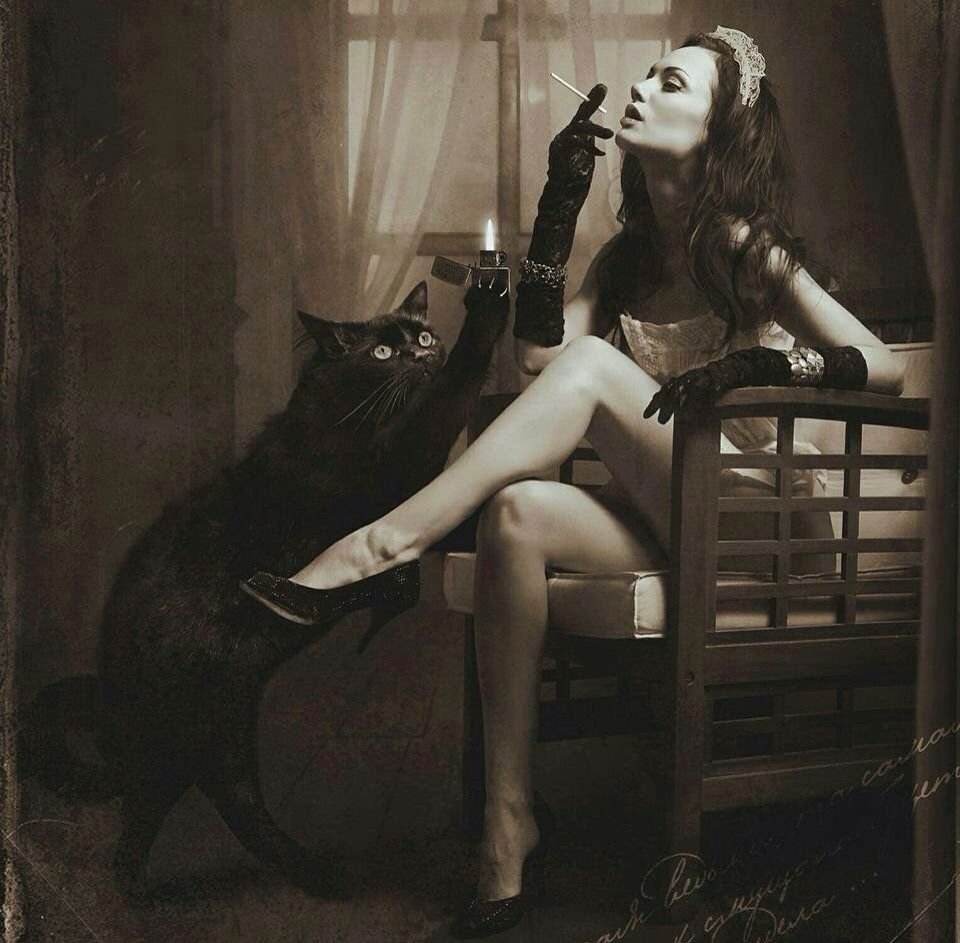 Приятно слышать что вы так вежливо обращаетесь с котом