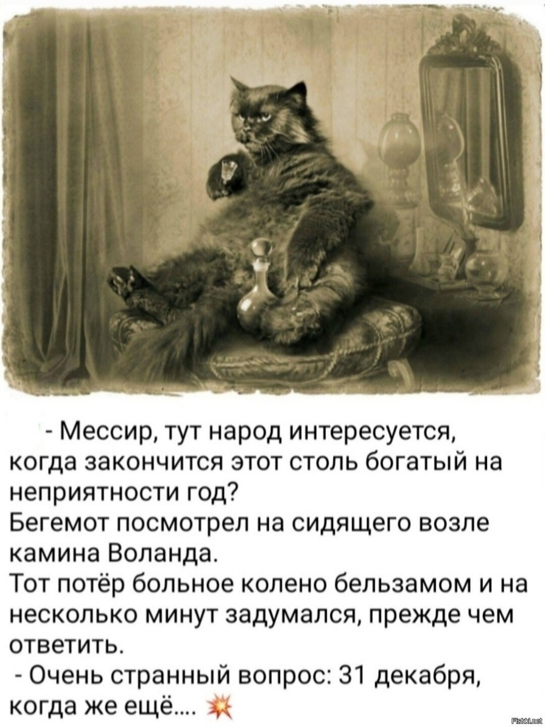 Кот Бегемот мастер и Маргарита