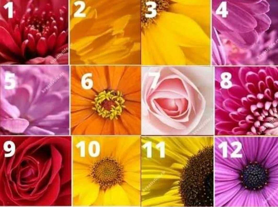 Тест выбери картинку