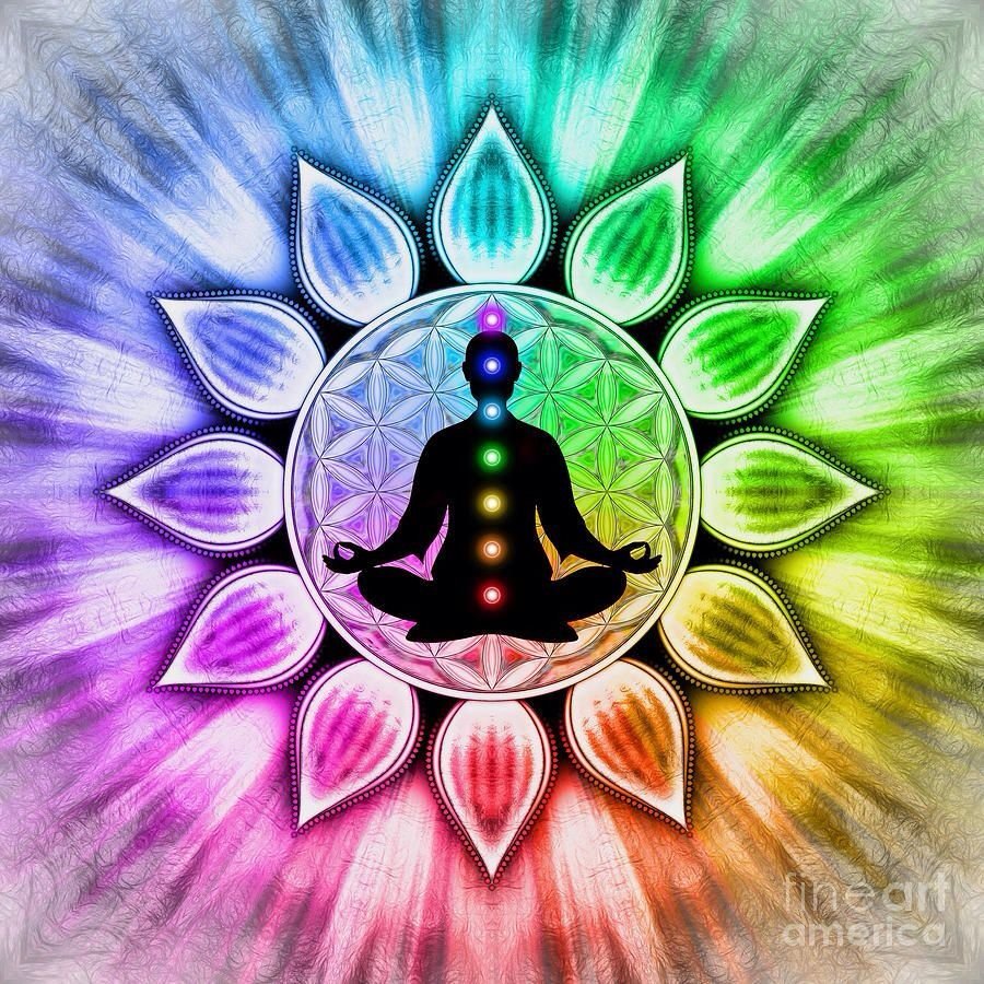 Что вы видитеинс картинке