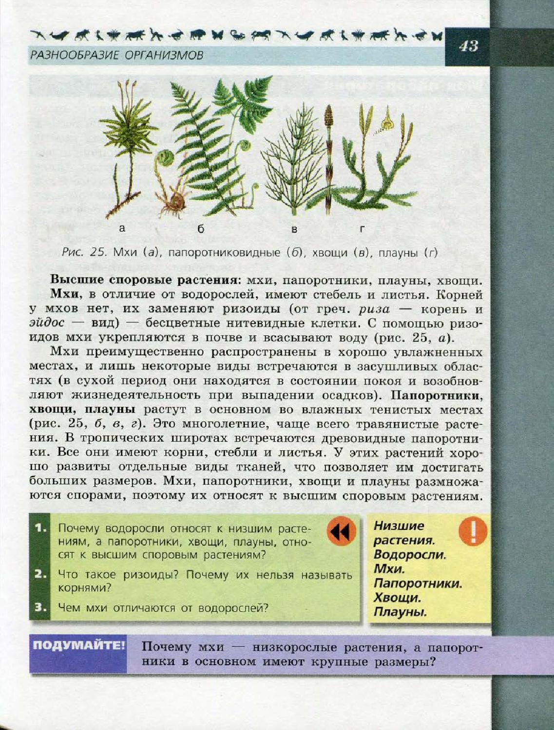 6 Класс биология учебник Пасечник водоросли