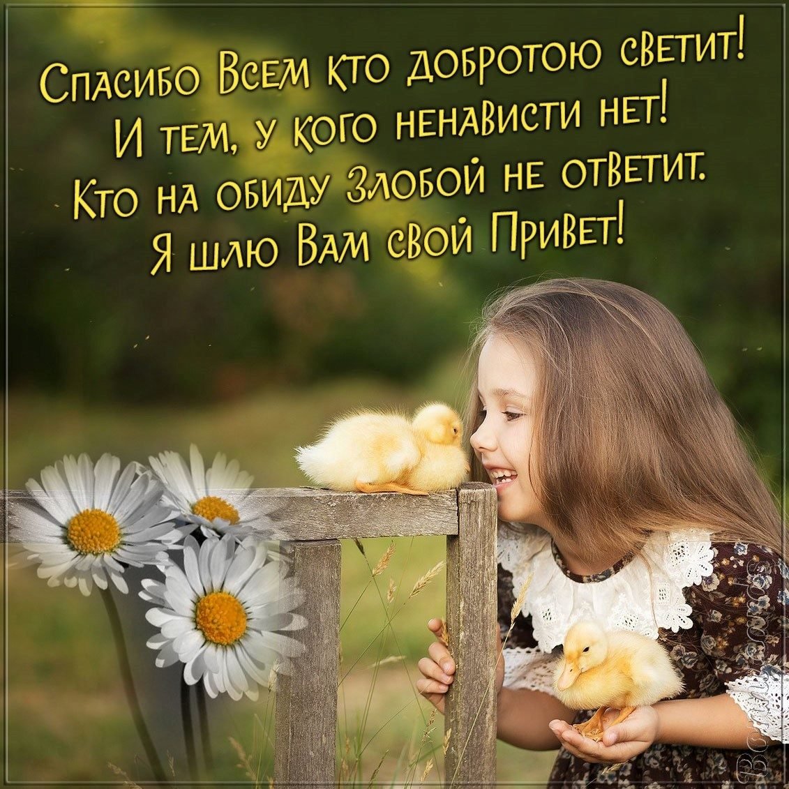 Огонек добра проект