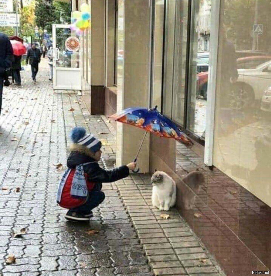 Улица добрых дел