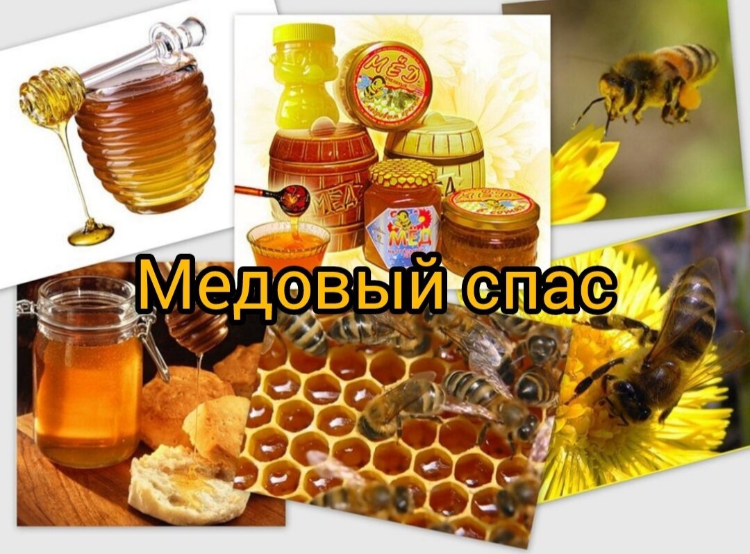 Рисунок стол с медом и продуктами пчел