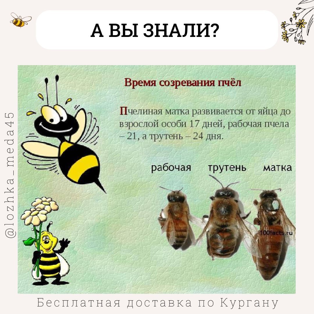 Высказывания о пчелах