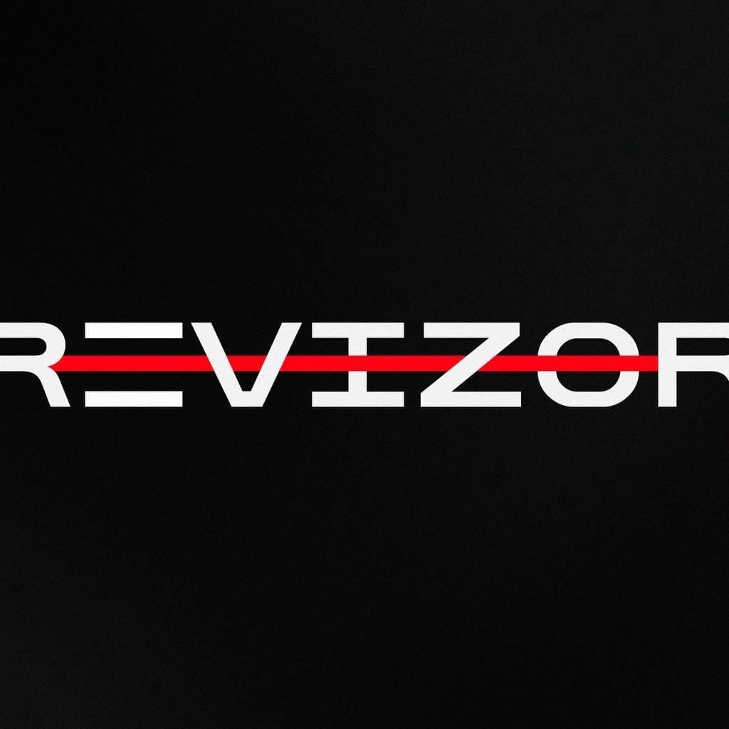 Дмитрий Ревизор БК