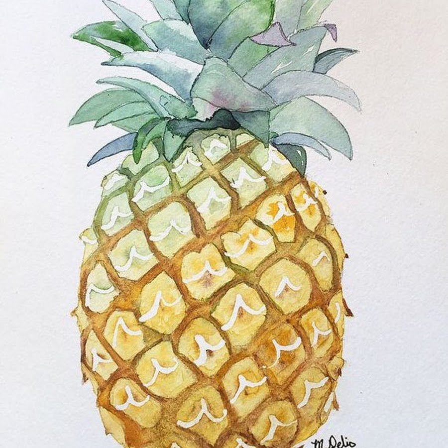 Ананас гуашью