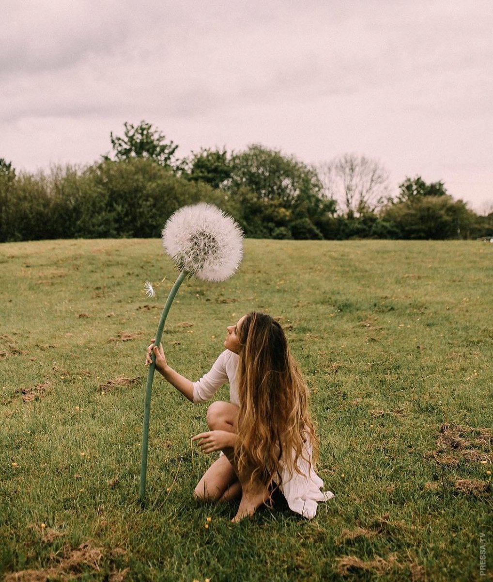 Женщина и одуванчики