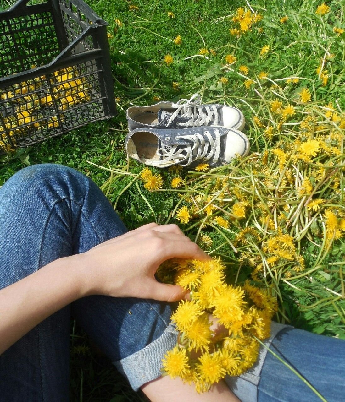 Девушка с одуванчиком