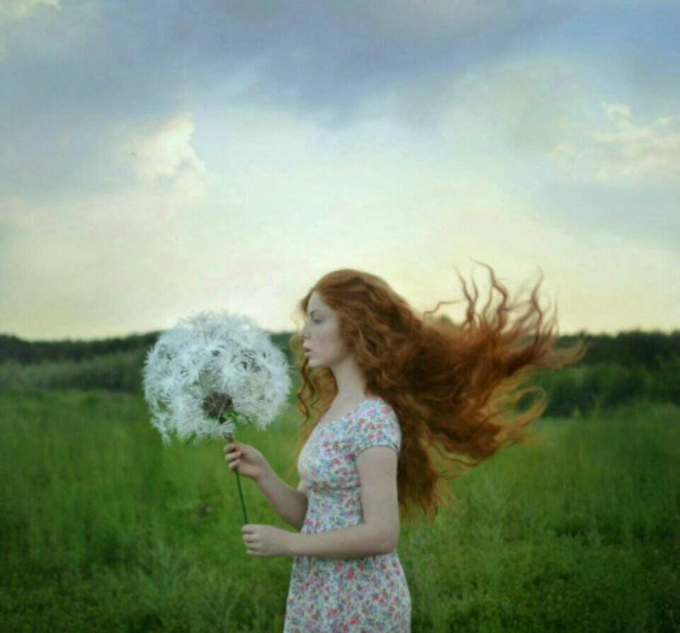 Женщина и одуванчики