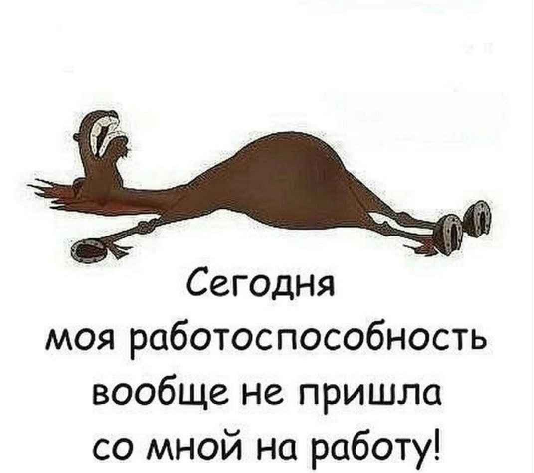 Кот спящий на книгах