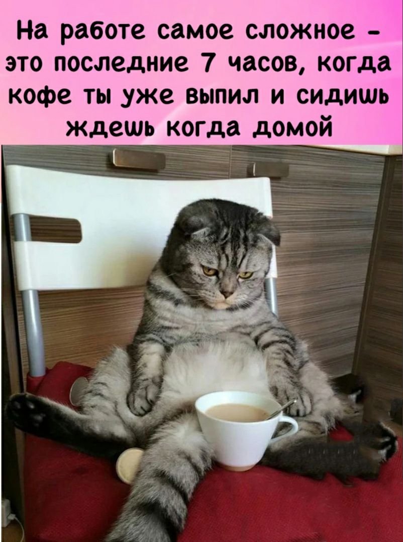 Смешные картинки про работу