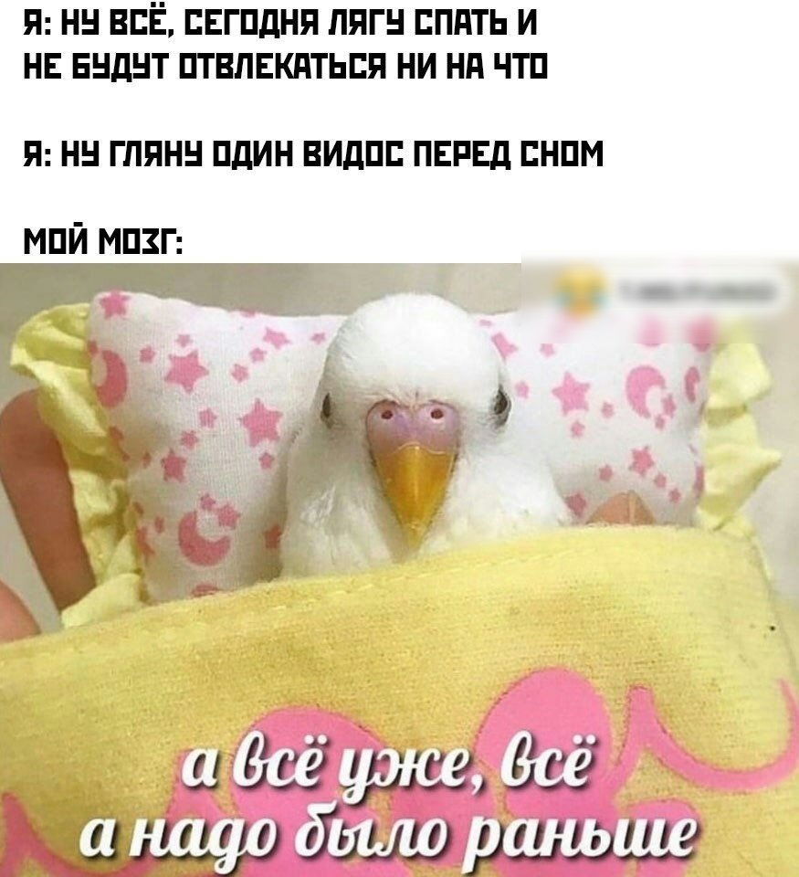 Мем а всё уже раньше надо было