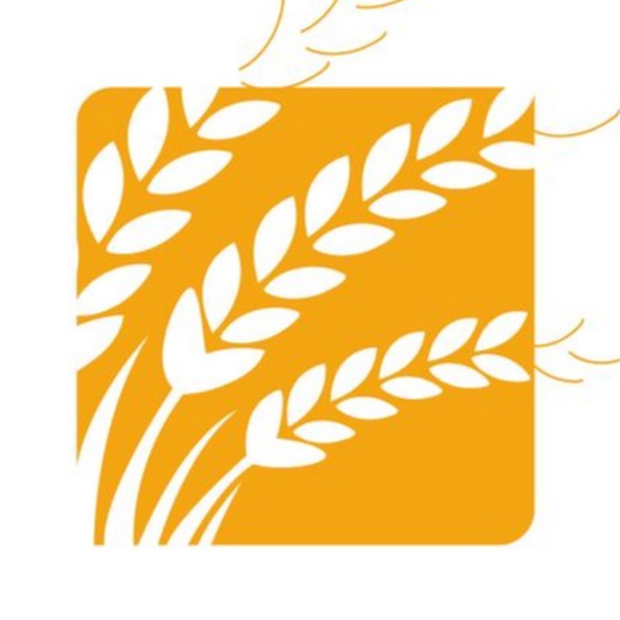 Колосок логотип